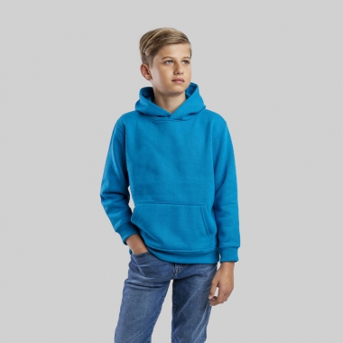 Children's unisex hooded sweatshirt PHOENIX KIDS. 