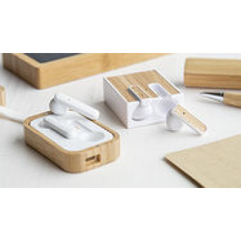 Promotional Earbuds