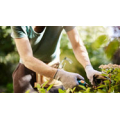 Personalised Gardening products (45)