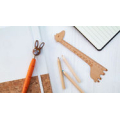 Branded Rulers for children (12)