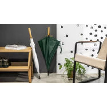 Экологические зонты