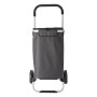 SUSANITA - Polyester (320-330 gr/m²) cooler, shopping trolley SUSANITA - Polyester (320-330 gr/m²) cooler, shopping trolley