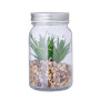 KYALA - Decorative Plant KYALA - Decorative Plant