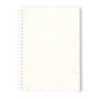 BITAR - Seeds Notebook