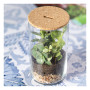 ANYMAK - Terrarium