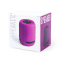 BRAISS - Speaker