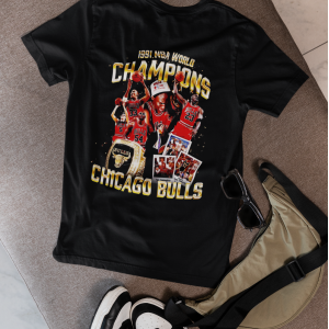NBA chicago bulls champions 1991