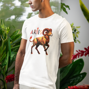 aries #4