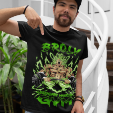 Broly Legendary Warrior